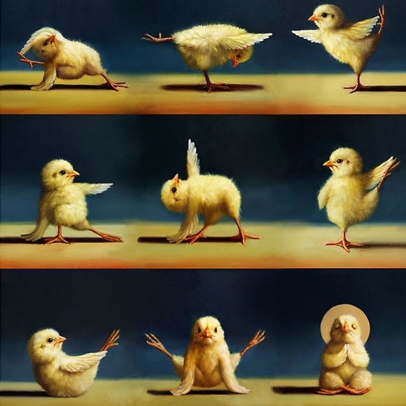 @fitbirdie is LIVE or SILENT LIVE! Like, Follow & Share! - Picture 2 of 6